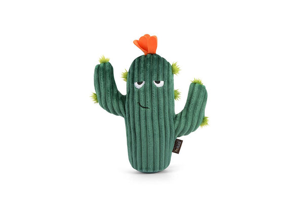 P.L.A.Y. Blooming Buddies Prickly Pup Cactus Dog Toy