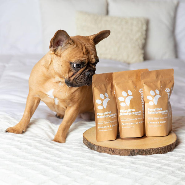 Pawtanical Pawsitive Reinforcement Phyto Cheese & Bacon Dog Treats