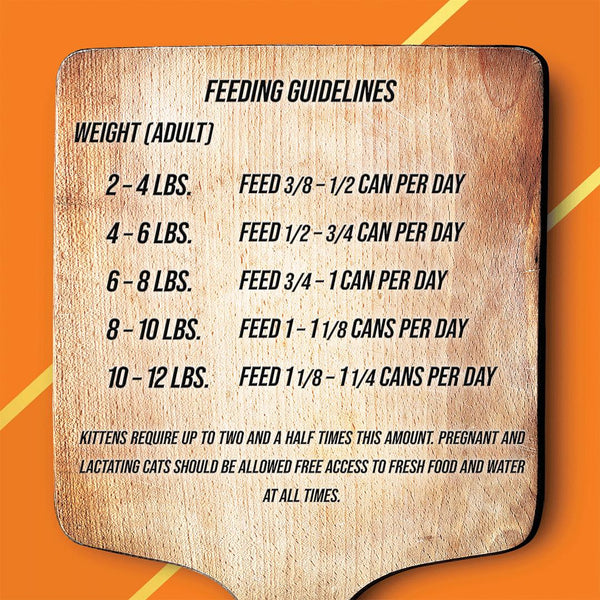 Fussie Cat Market Fresh Turkey & Guineafowl Recipe Wet Cat Food Can
