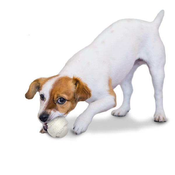Nylabone Power Play Baseball Gripz Dog Toy