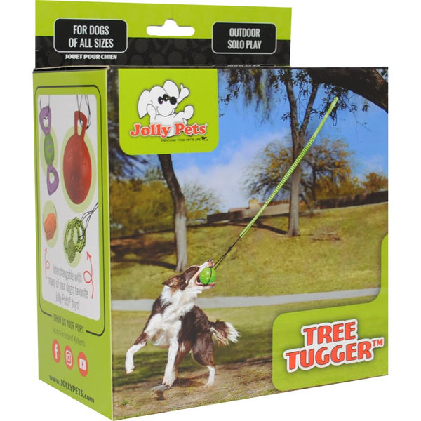 Jolly Pets Tree Tugger Bungee Dog Toy