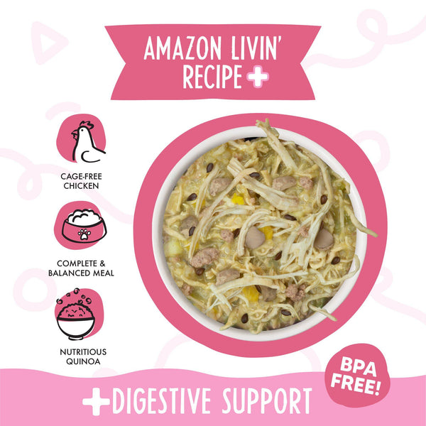 Weruva Meals 'n More Amazon Livin' Recipe Plus in Pumpkin Soup Wet Dog Food Cup