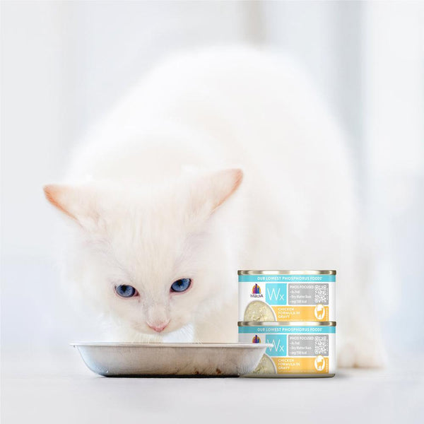 Weruva Wx Phos Focused Formule Poulet en sauce Pâtée pour chats