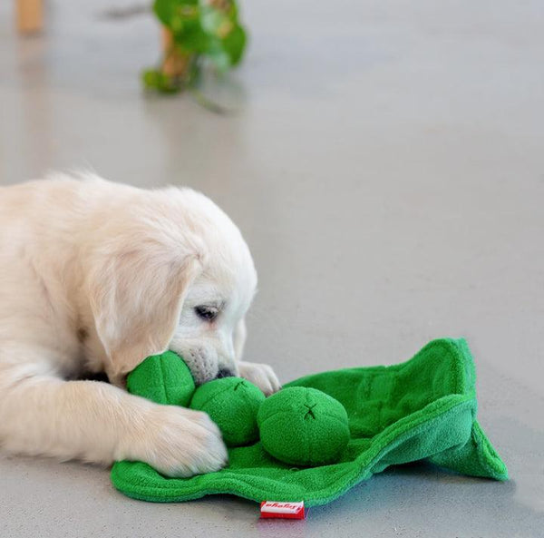 Injoya Pea Pod Snuffle Mat Feeder Dog Toy