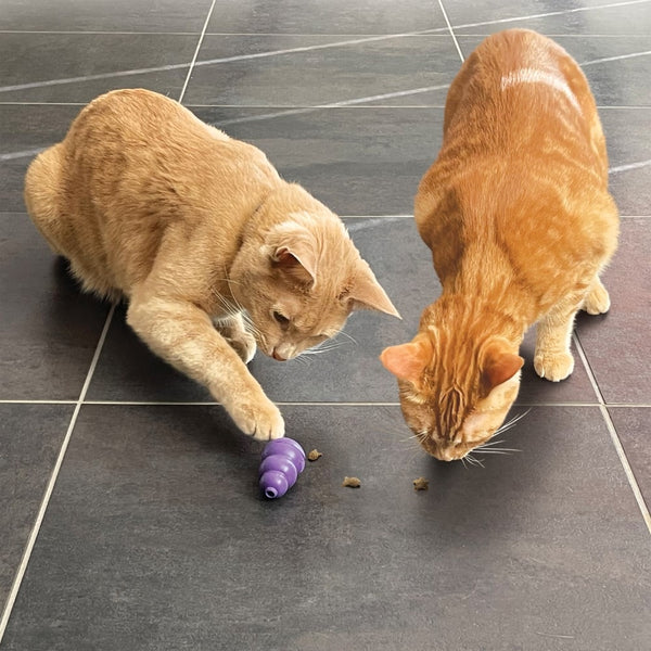 KONG Nibbies Chicken Cat Treats