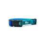 Woof Concept Waterproof Dog Collar, Blue Hawaiian