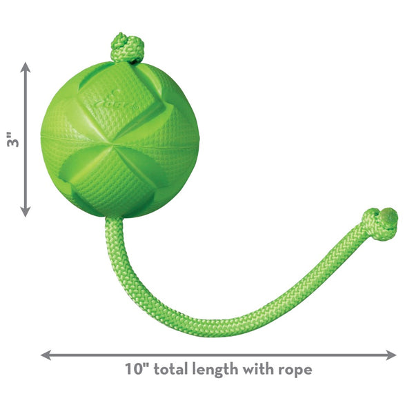 Rogz Flingz Ball w/ Rope Dog Toy
