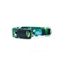 Woof Concept Dog Collar, Maui