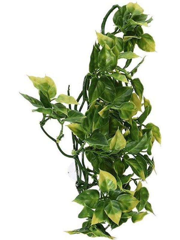 Exo Terra Amapallo Jungle Terrarium Plant
