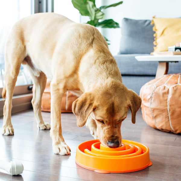 Outward Hound Fun Feeder Slo Bowl Dog Slow Feeder, Orange