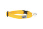 RC Pets Collier sécuritaire de base pour chats, Fleur de souci