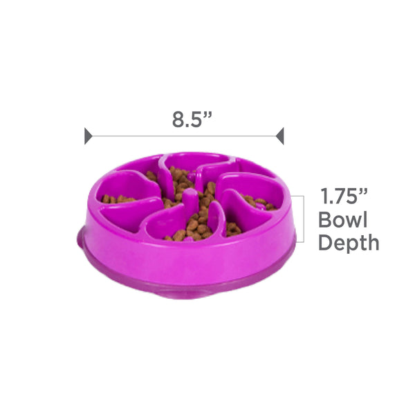 Outward Hound Fun Feeder Slo Bowl Dog Slow Feeder, Purple