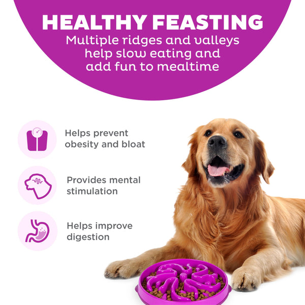 Outward Hound Fun Feeder Slo Bowl Dog Slow Feeder, Purple