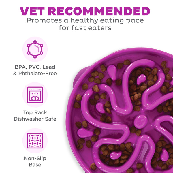 Outward Hound Fun Feeder Slo Bowl Dog Slow Feeder, Purple