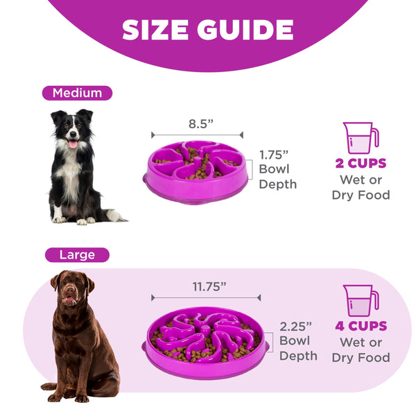 Outward Hound Fun Feeder Slo Bowl Dog Slow Feeder, Purple