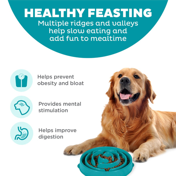 Outward Hound Fun Feeder Slo Bowl Dog Slow Feeder, Turquoise