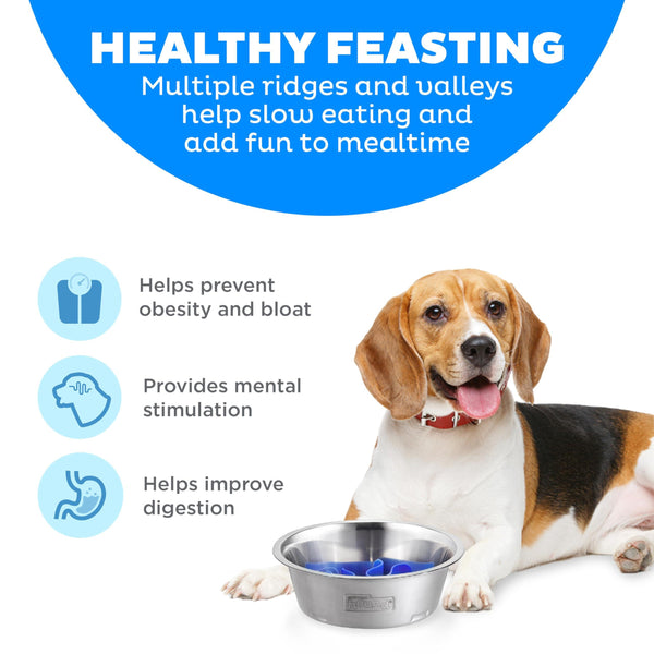 Outward Hound Fun Feeder Slo Bowl Dog Slow Feeder, Stainless Steel
