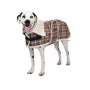 Shedrow Veste pour chien K9 Aspen, Beige