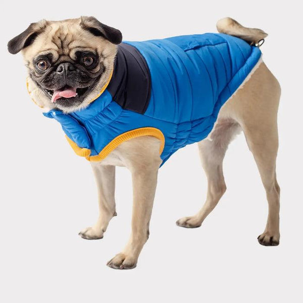 GF Pet Scout Winter Dog Jacket