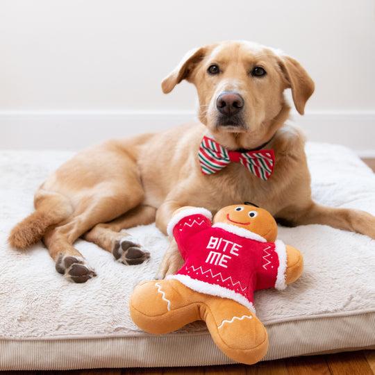 Huxley & Kent Power Plush Eddie Says Bite Me Dog Toy