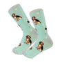 Happy Tails Socks by E&S Pets Unisex Novelty Crew Socks, Beagle, 14-in