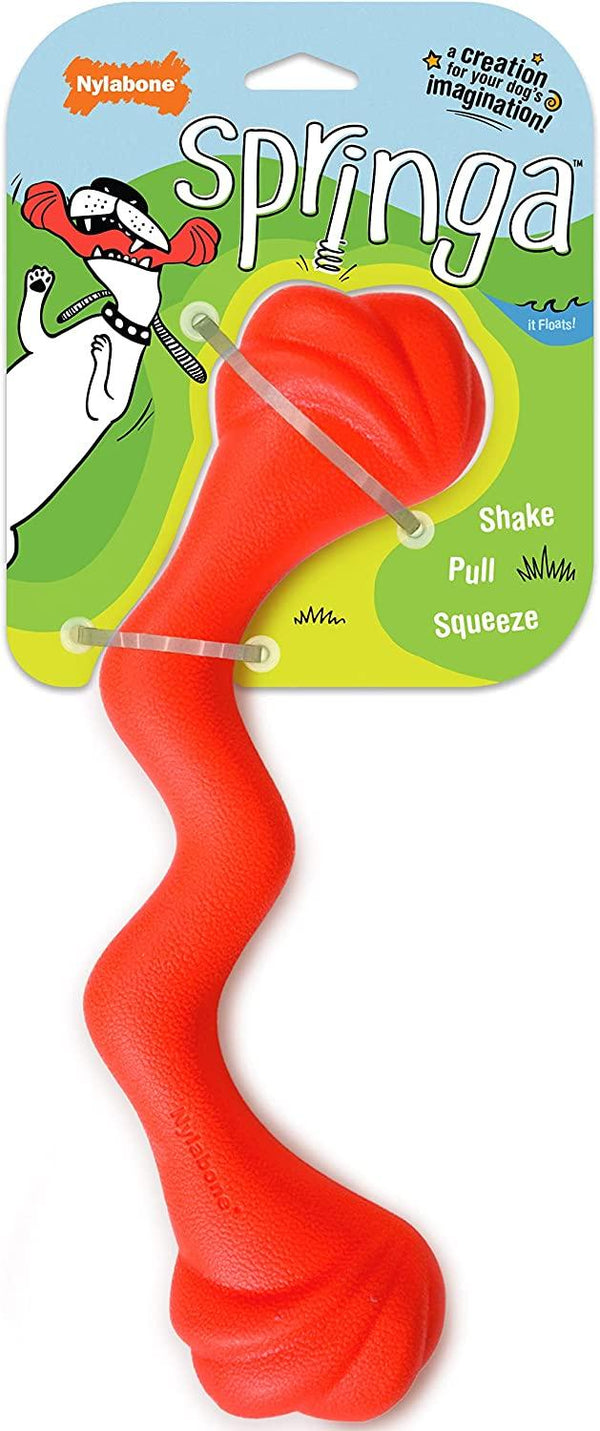 Nylabone Creative Play Springa Interactive Dog Toy