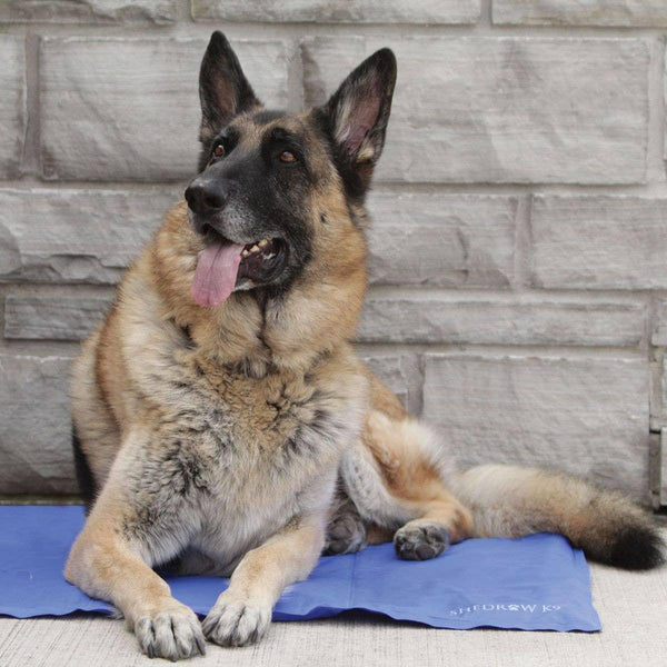 Shedrow K9 Dog Cooling Mat, Royal Blue
