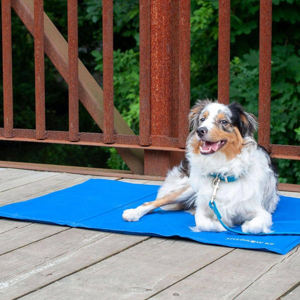 Shedrow K9 Dog Cooling Mat, Royal Blue
