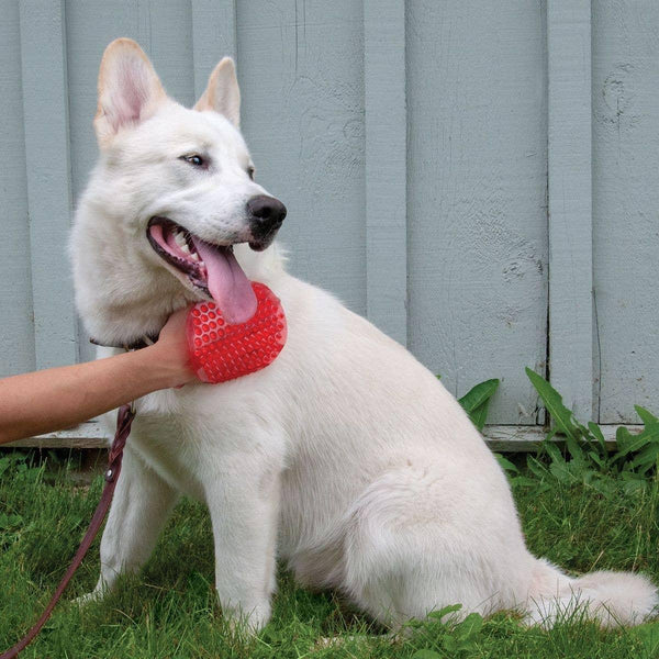 Shedrow K9 Jelly Scrubber Pet Grooming Tool, Red, One Size