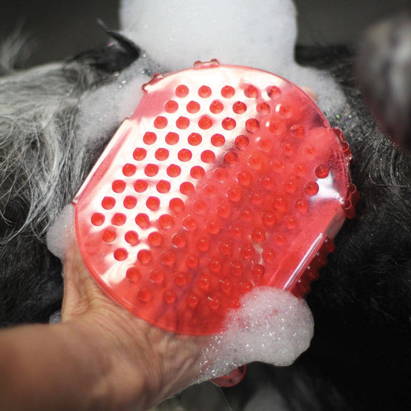 Shedrow K9 Jelly Scrubber Pet Grooming Tool, Red, One Size
