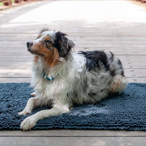 Shedrow K9 Mud Dog Mat, Grey