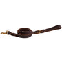Shedrow K9 Bristol Twisted Leather Dog Leash, Brown