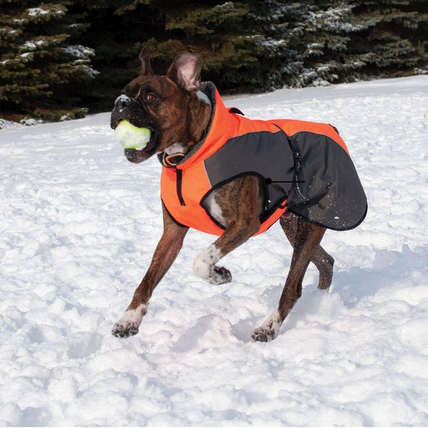 Shedrow K9 Chinook Dog Coat, Neon Orange/Grey