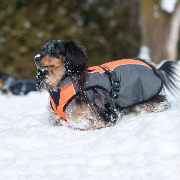 Shedrow K9 Chinook Dog Coat, Neon Orange/Grey