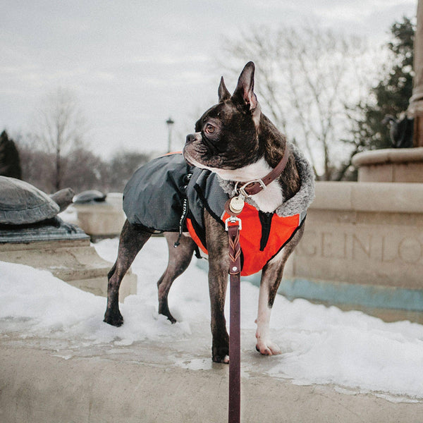 Shedrow K9 Chinook Dog Coat, Red/Grey