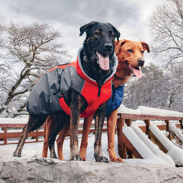 Shedrow K9 Chinook Dog Coat, Red/Grey