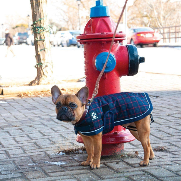Shedrow K9 Glacier Dog Coat, Navy Plaid