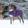 Shedrow K9 Glacier Dog Coat, Navy Red Geometric