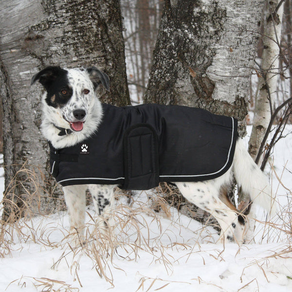 Shedrow K9 Tundra Dog Coat, Black