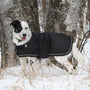 Shedrow K9 Tundra Dog Coat, Black