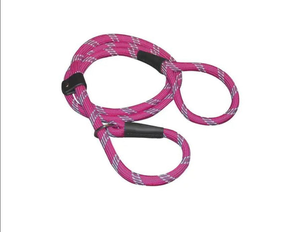 Shedrow K9 Camino Rope Slip Dog Leash, Festival Fuchsia