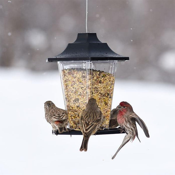 Perky-Pet Carriage Bird Feeder