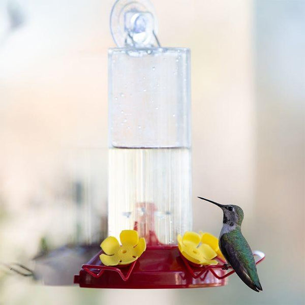 Perky-Pet Window-Mount Hummingbird Feeder
