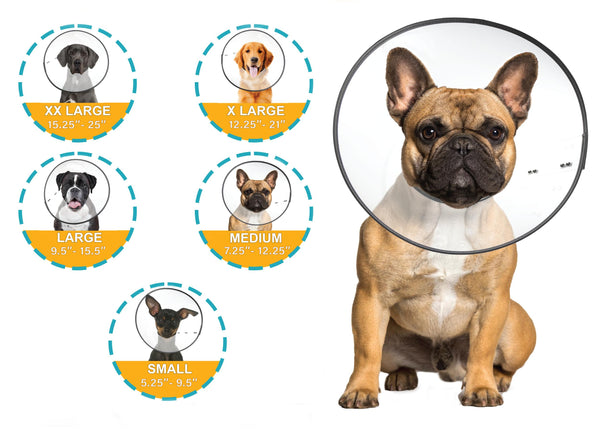 ZenPet Collier de récupération E-Clear pour chiens et chats