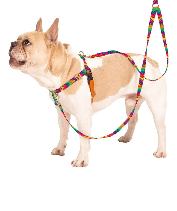 2 Hounds Design Freedom No-Pull Dog Harness & Training Leash, Best Friends Forever