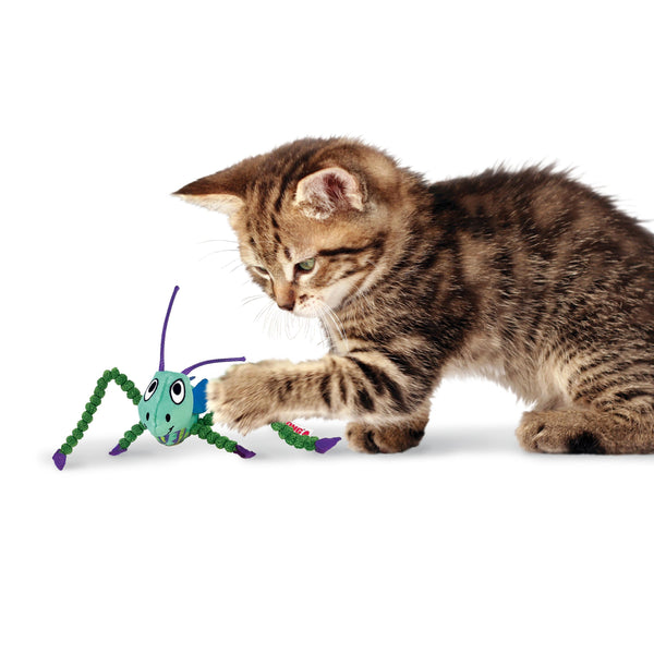 KONG Crackles Grasshopper jouet pour chat
