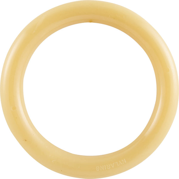 Nylabone DuraChew Ring Original Flavor Dog Toy