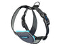 CarSafe Travel Dog Harness, Black