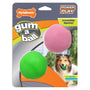 Jouet pour chien Power Play Gum-a-Ball de Nylabone