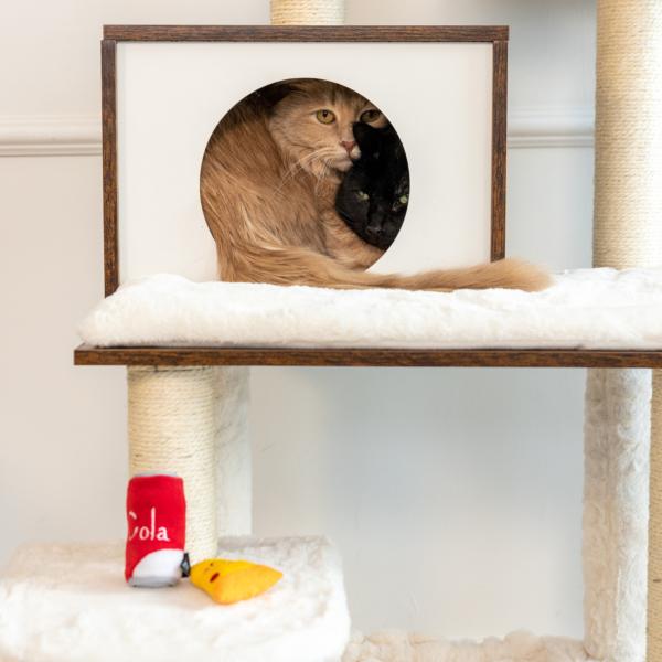 ZippyPaws ZippyClaws NomNomz Jouets pizza et cola pour chat, lot de 2